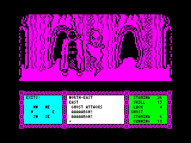 Heavy on the Magick ZX Spectrum Screenshot: The ghost attacks!