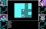 Scavengers of the Mutant World for IBM PC/Compatibles - It's getting dark...I can't see vary far now.