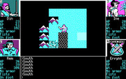 Scavengers of the Mutant World for IBM PC/Compatibles - I'm lost in the mountains, and night falls...