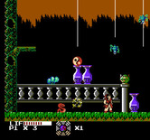 Master Chu and the Drunkard Hu for NES / Famicom - Pick up that symbol of harmony!