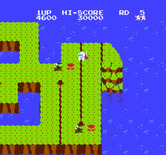 Dig Dug II for NES / Famicom - Drill to make the land and opponents fall into the water.