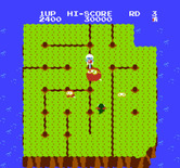 Dig Dug II for NES / Famicom - Each round has a different layout.