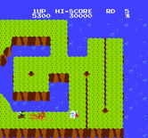 Dig Dug II for NES / Famicom - Don't get hit by the Fygar's fire!