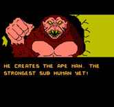 CheetahMen II, The for NES / Famicom - Introduction screen 2.
