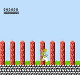 CheetahMen II, The for NES / Famicom - Game start.