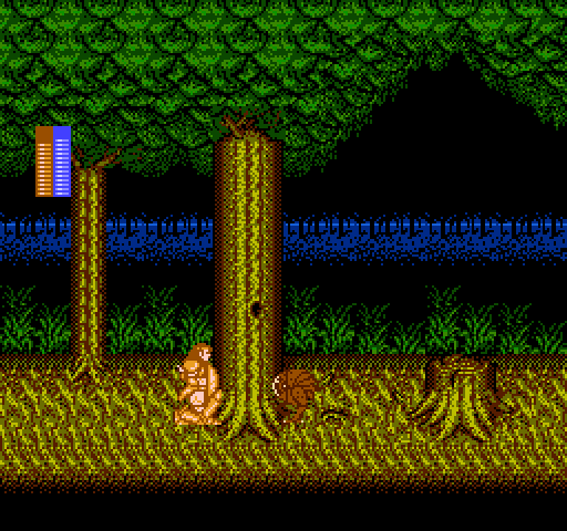 Castle of Dragon NES / Famicom Screenshot: Entering the forest...