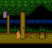 Castle of Dragon for NES / Famicom - Entering the forest...