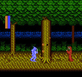 Castle of Dragon for NES / Famicom - Fighting a wraith in the forest.