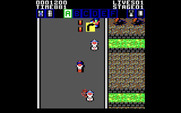 Action Fighter for IBM PC/Compatibles - Be careful, there's a turn ahead...