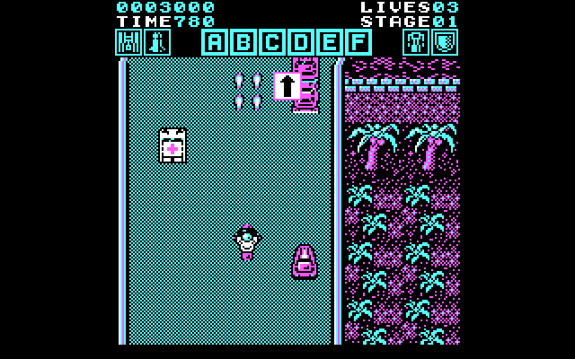 Action Fighter IBM PC/Compatibles Screenshot: Racing along...