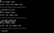 Lost Dutchman's Gold for IBM PC/Compatibles - Examining a miner's shack...