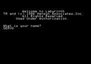 Labyrinth: The Computer Game for Apple II - First, answer a few questions...