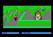 Labyrinth: The Computer Game for Apple II - Entering the wise man's garden...