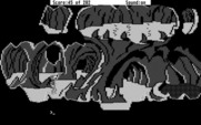 Space Quest: Chapter I - The Sarien Encounter for Atari ST - Where should I head next in this maze-like cavern?