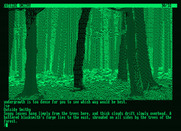 Fish for Amstrad PCW - Emerging from the forest to find a smithy...