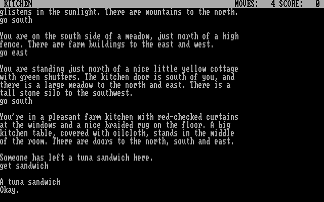 Hermit's Secret, The IBM PC/Compatibles Screenshot: Searching the area.