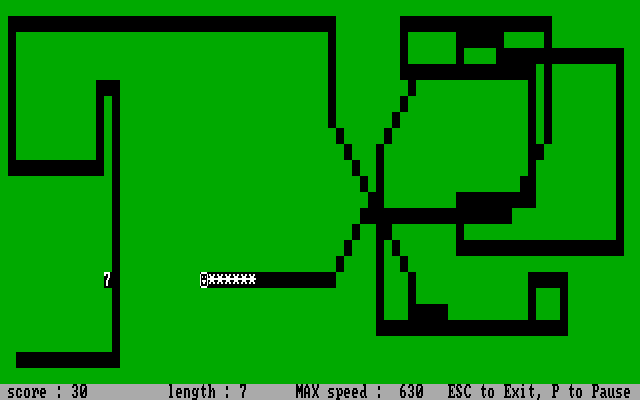 Slither IBM PC/Compatibles Screenshot: Chasing the next target...