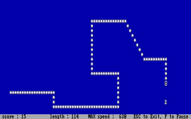 Slither IBM PC/Compatibles Screenshot: A very long snake chases the target!