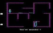 Beyond Castle Wolfenstein for IBM PC/Compatibles - You're wounded!