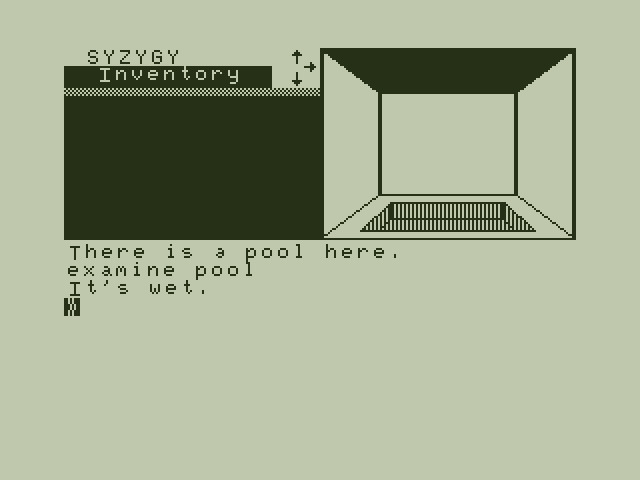Syzygy Dragon 32/64 Screenshot: There's a pool here...and, surprise, it's wet!