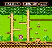Amagon for NES / Famicom - Oh no, more bees!