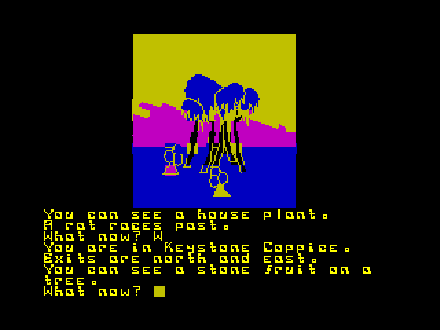 Return to Eden Amstrad CPC Screenshot: Exits are north and east...