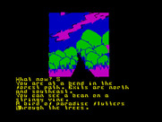 Return to Eden for Amstrad CPC - A bird of paradise flutters through the trees...