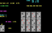 Cribbage for IBM PC/Compatibles - The player wins this time