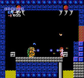 Metroid for NES / Famicom - The battle with Kraid!