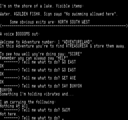 Adventureland Exidy Sorcerer Screenshot: The sign clearly says "no swimming"...that didn't work!