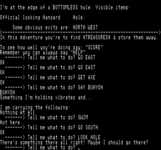 Adventureland Exidy Sorcerer Screenshot: There's something here, what should I do?