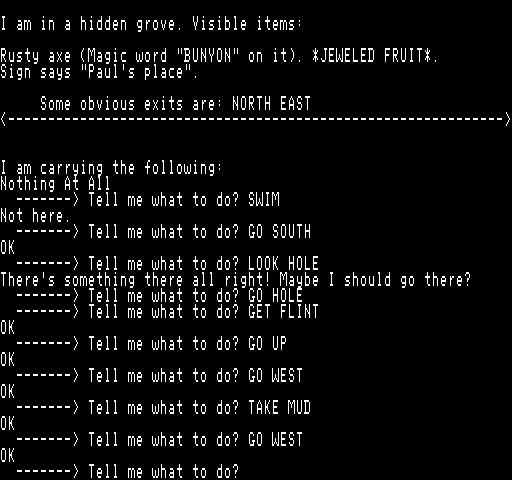 Adventureland Exidy Sorcerer Screenshot: I am back in a hidden grove.