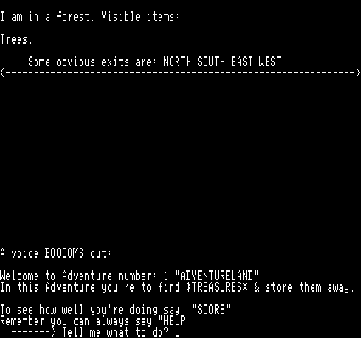 Adventureland Exidy Sorcerer Screenshot: Game start.