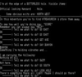 Adventureland for Exidy Sorcerer - There's something here, what should I do?
