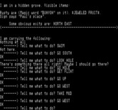 Adventureland for Exidy Sorcerer - I am back in a hidden grove.