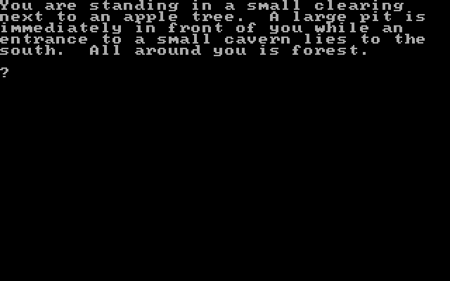 Maiden IBM PC/Compatibles Screenshot: The game begins here