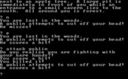 Maiden for IBM PC/Compatibles - Attacked by a goblin!