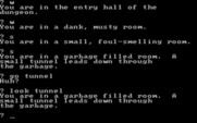 Maiden for IBM PC/Compatibles - The vocabulary in the game can be limited