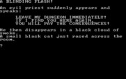 Maiden for IBM PC/Compatibles - An ominous warning