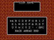 Miracle Warriors: Seal of the Dark Lord for Sega Master System - First, enter your name...