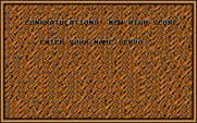 Vixen for IBM PC/Compatibles - A new high score!
