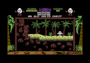 Treasure Island Dizzy for Commodore 64 - I now have an old solid chest...