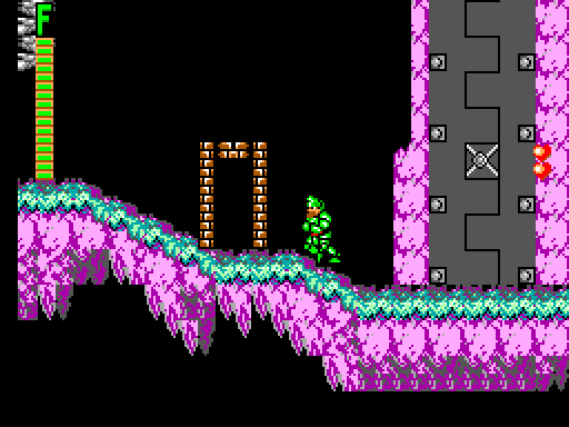 Ghouls 'N Ghosts Sega Master System Screenshot: This door leads to the end of level boss.