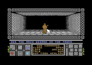 Death Bringer for Commodore 64 - I need to find the wizard in the tower.