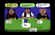 Card Sharks for Commodore 64 - Do you want insurance?