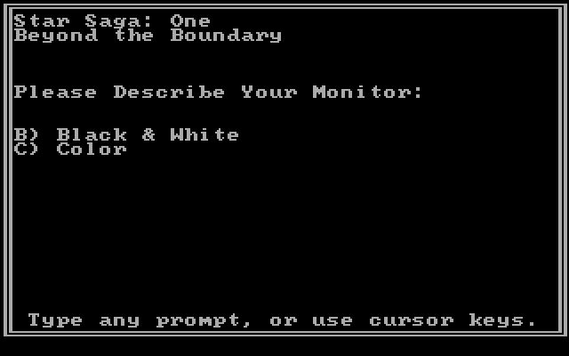 Star Saga: One - Beyond the Boundary IBM PC/Compatibles Screenshot: Do you have a color monitor?