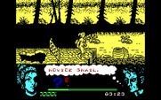 Omega Dimension for IBM PC/Compatibles - Giant bees attack!