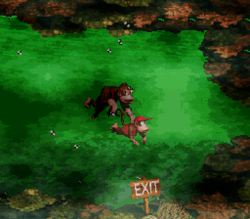 Donkey Kong Country Super NES Screenshot: Level exit.