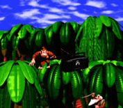 Donkey Kong Country for Super NES - Introducing Donkey Kong!