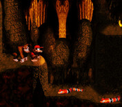 Donkey Kong Country for Super NES - Snakes...why does it have to be snakes?!